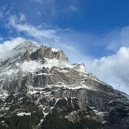 Silberhorn Apartmán *