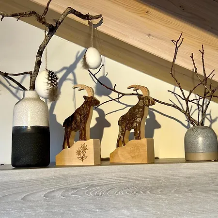 Silberhorn Apartmán *