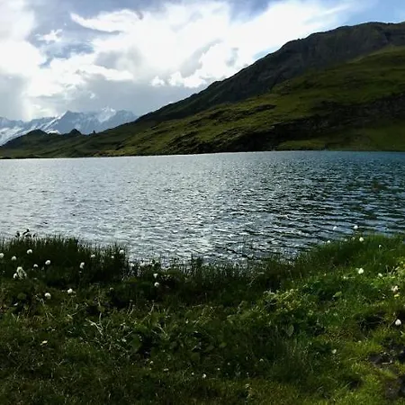 Silberhorn Grindelwald