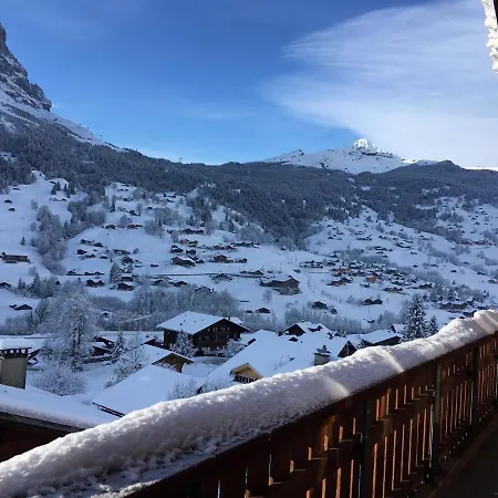 Apartamento Silberhorn *