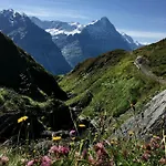 Silberhorn